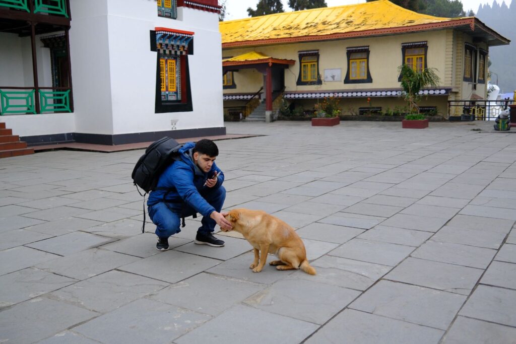 Personal training in South-East Delhi